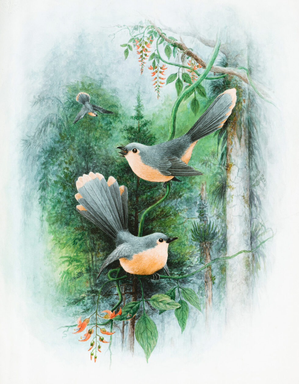 Robins Rest