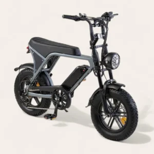 RAW KIDDY – Mini Vélo Électrique FATBIKE Gris Mat