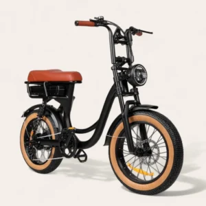 RAW LIBERTY – Vélo électrique fatbike Brown Black mat 20 pouces