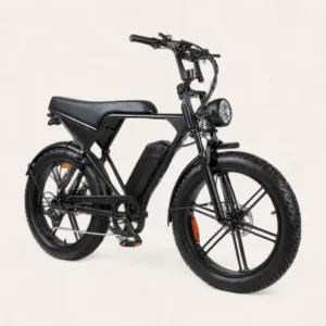 RAW STREET HIGH – Vélo électrique fatbike 24 pouces noir